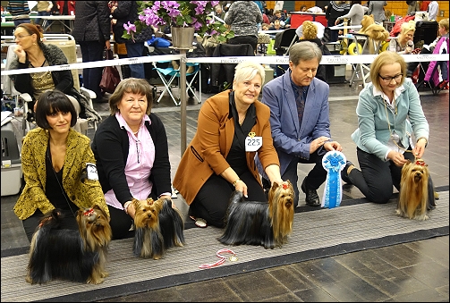 CAC Castrop-Rauxel 2015