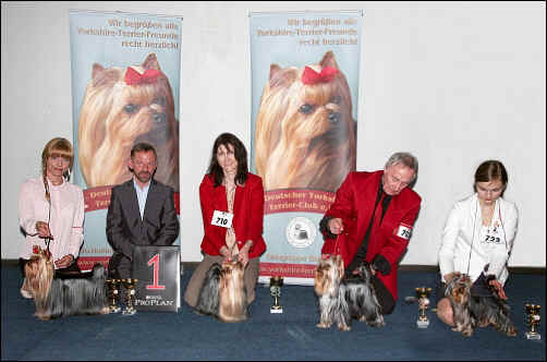 CACIB Dortmund, 8. Mai 2015