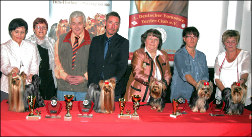 1.DYC German Classics