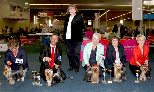 VDH-Europasieger 2016