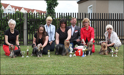 1.DYC Yorkie-Ausstellung in Leipzig-Borsdorf 2016