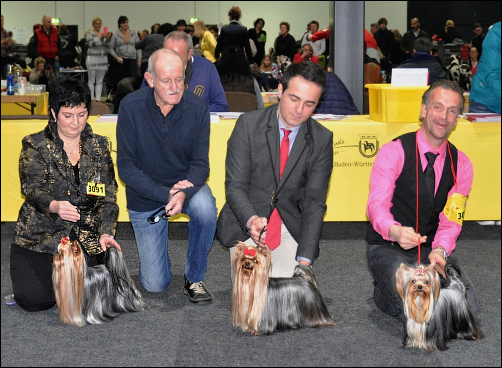 CACIB Offenburg 2016