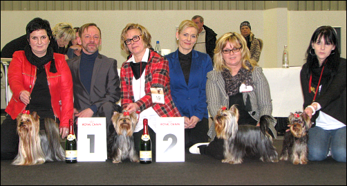 CACIB N�rnberg 2017