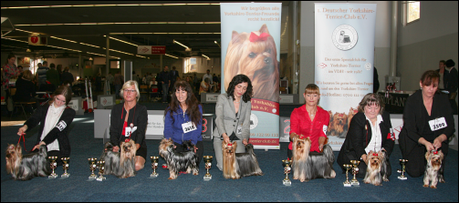 CACIB Dortmund - Oktober 2014