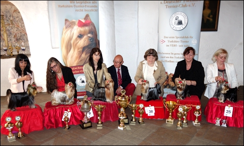 1.DYC-Clubsiegerschau 2014