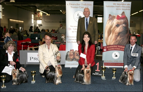 VDH-Europasieger 2014 in Dortmund