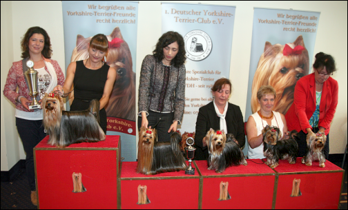 1.DYC German Classics