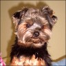 Max - 2 years
