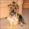 Max - 2 years