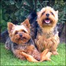 Nicky & Eddy - 7 years