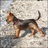 Nelly - 1,5 years