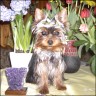Zuri - 6 month