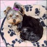Thedy - 10 month