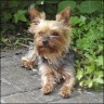 Jossy - 9 years