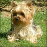 Jaimee - 2,5 years