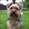 Filou - 3 years