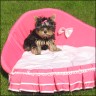 Ladylove - 3 month