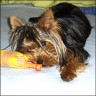Debby - 2 years