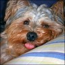 Charly - 2 years