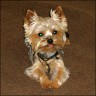 Kr�mel - 2,5 years