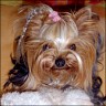 Gioia - 2 years