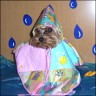 Wendy - 3 years
