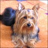 Shelley - 13 month
