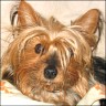 Mimi - 13 years
