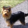 Debby - 2 1/2 years