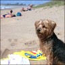 Benny
