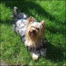 Robby - 3 years
