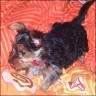 Julie - 12 weeks