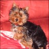 Julie - 5,5 month