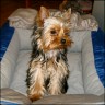 Candy - 5 month