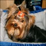 Debby - 2,5 years