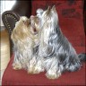 Susi (4 years) & Otis (2 years)