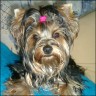 Amina - 8 month