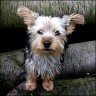 Nici - 5 month