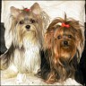 Chira & Leni