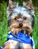Daisy - 5 month