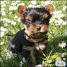 Kira - 5 month