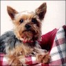 Maggie - 3 years