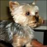 Kr�mel - 3,5 years