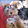 Goofyne - 5 month