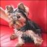 Anjelie - 7 month