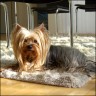 Mirco - 3 years