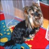 Willi - 8 years