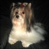 Pilzi - 14 month