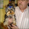 Pepe - 6 month