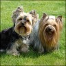 Ronja (4 years) & Emilie (3 years)
